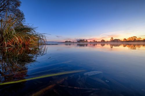 Зеркало реки