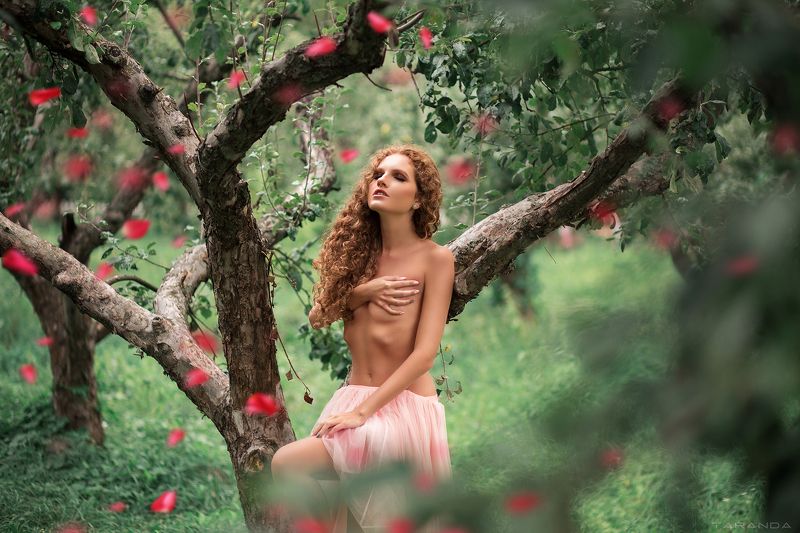girl, kiev, ukraine, sweet, light, sexy, beauty, retro, garden, summer, eve, apples Modern Eve фото превью