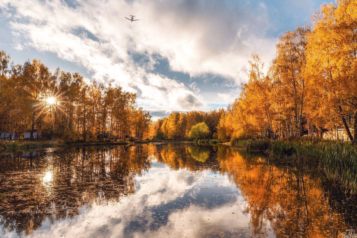 шереметьевский пруд,долгопрудный,московская область,подмосковье,осень, Сергей Вьюнов