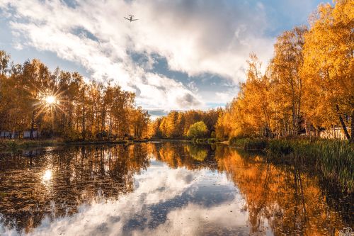 Шереметьевский пруд