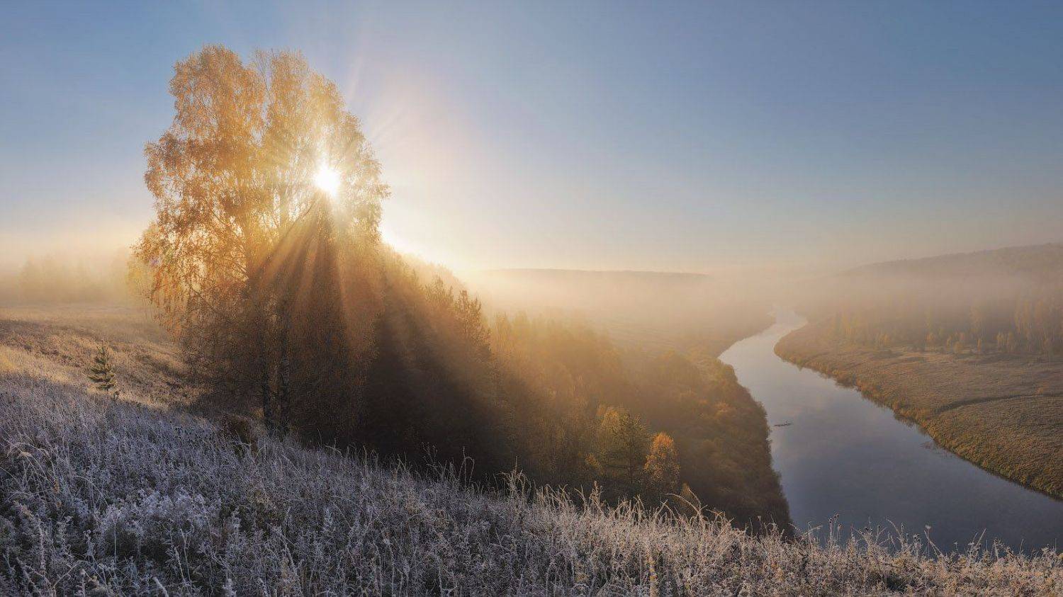 , Дмитрий Медянцев