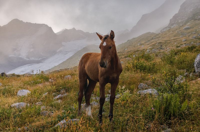 Заблудился... фото превью