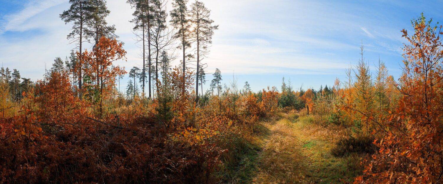 , Михаил Кушнер