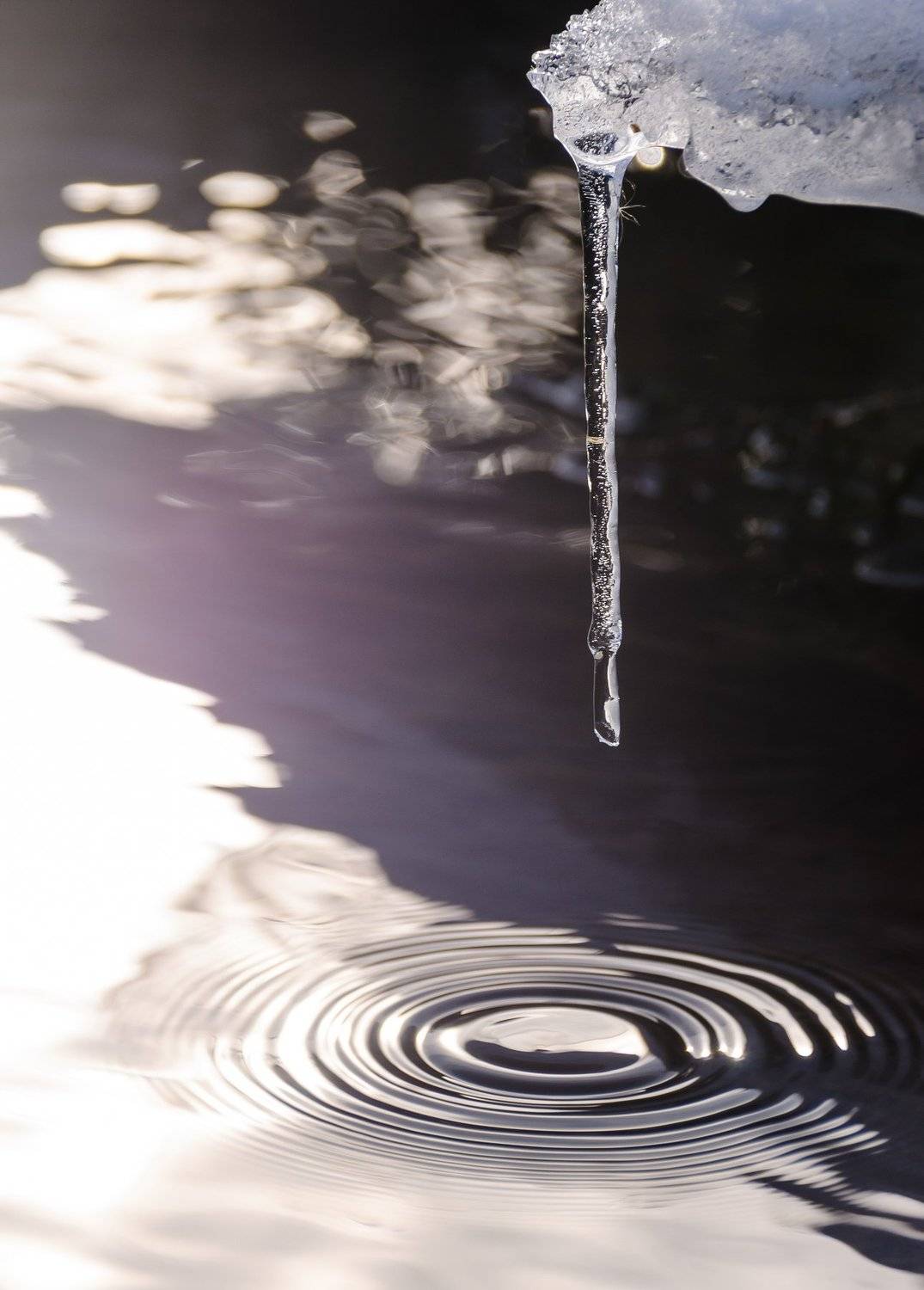 сосулька, капель, весна, ручей, вода, круги, боке, блики, свет, контровый свет, солнечно, снег, холод, лёд, Ксения Соварцева
