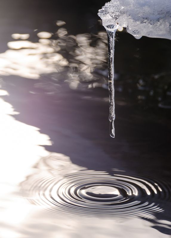 сосулька, капель, весна, ручей, вода, круги, боке, блики, свет, контровый свет, солнечно, снег, холод, лёд Капель фото превью