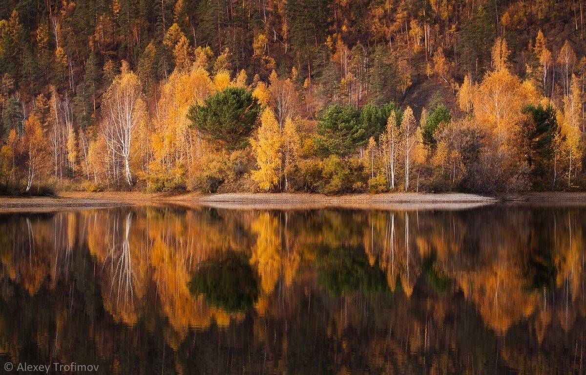 , Алексей Трофимов