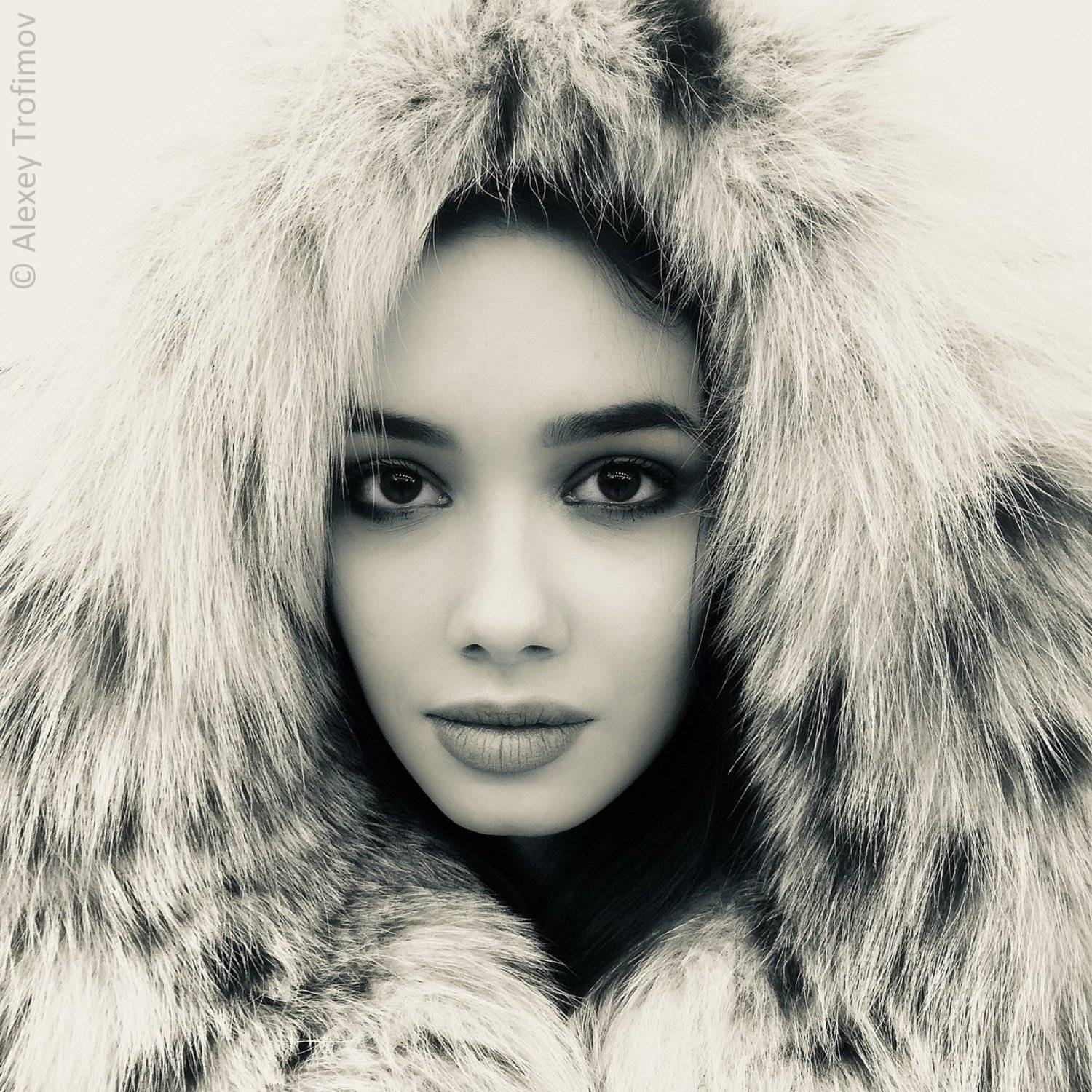 , Алексей Трофимов