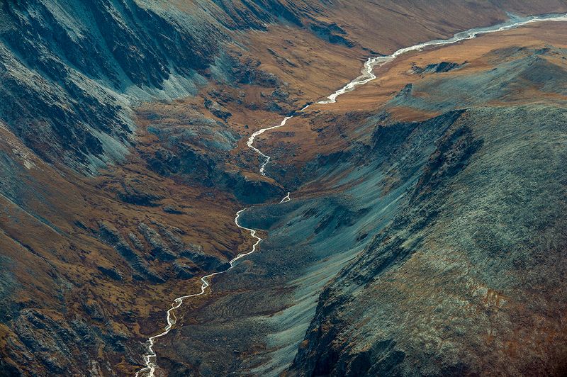 Артерия фото превью