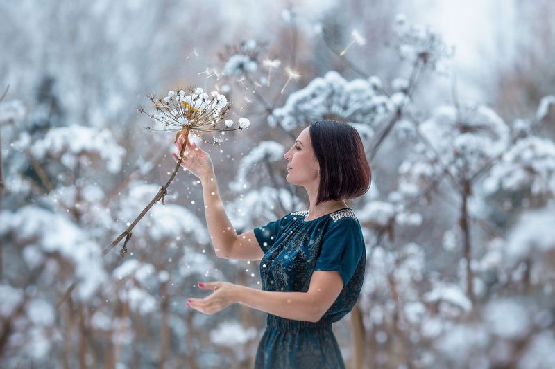 Вторая жизнь одуванчиков... фото превью