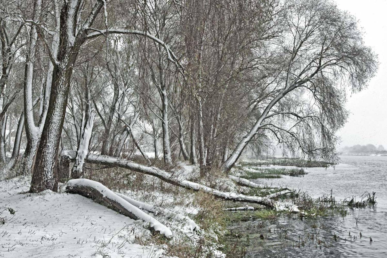 , Валерий Кондратов