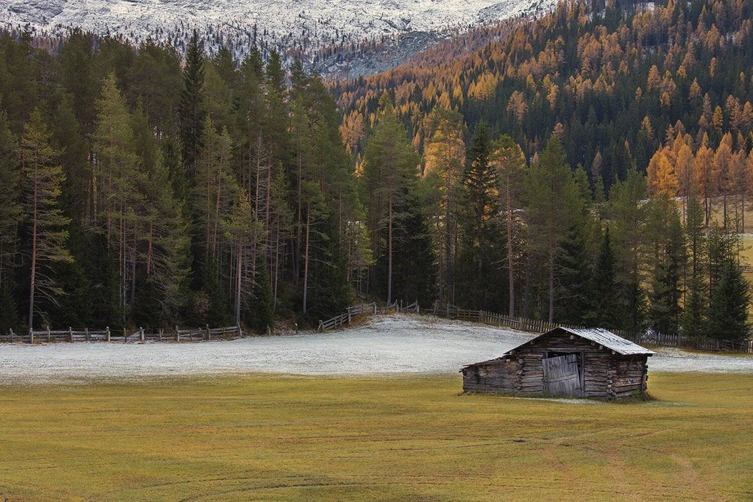, Игорь Дубровский