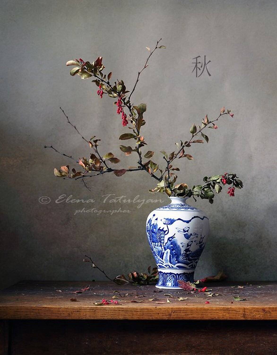 цветы увяли.  сыплются, падают семена,  как будто слезы...  басё., Елена Татульян