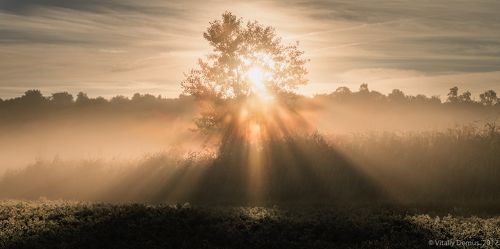Треугольник света