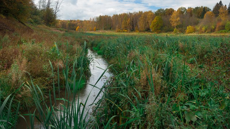 Осень фото превью