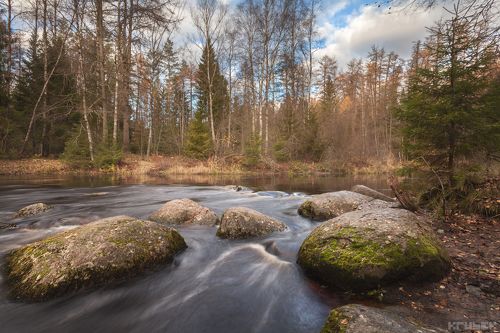 Глубокая осень в Линдуловской роще
