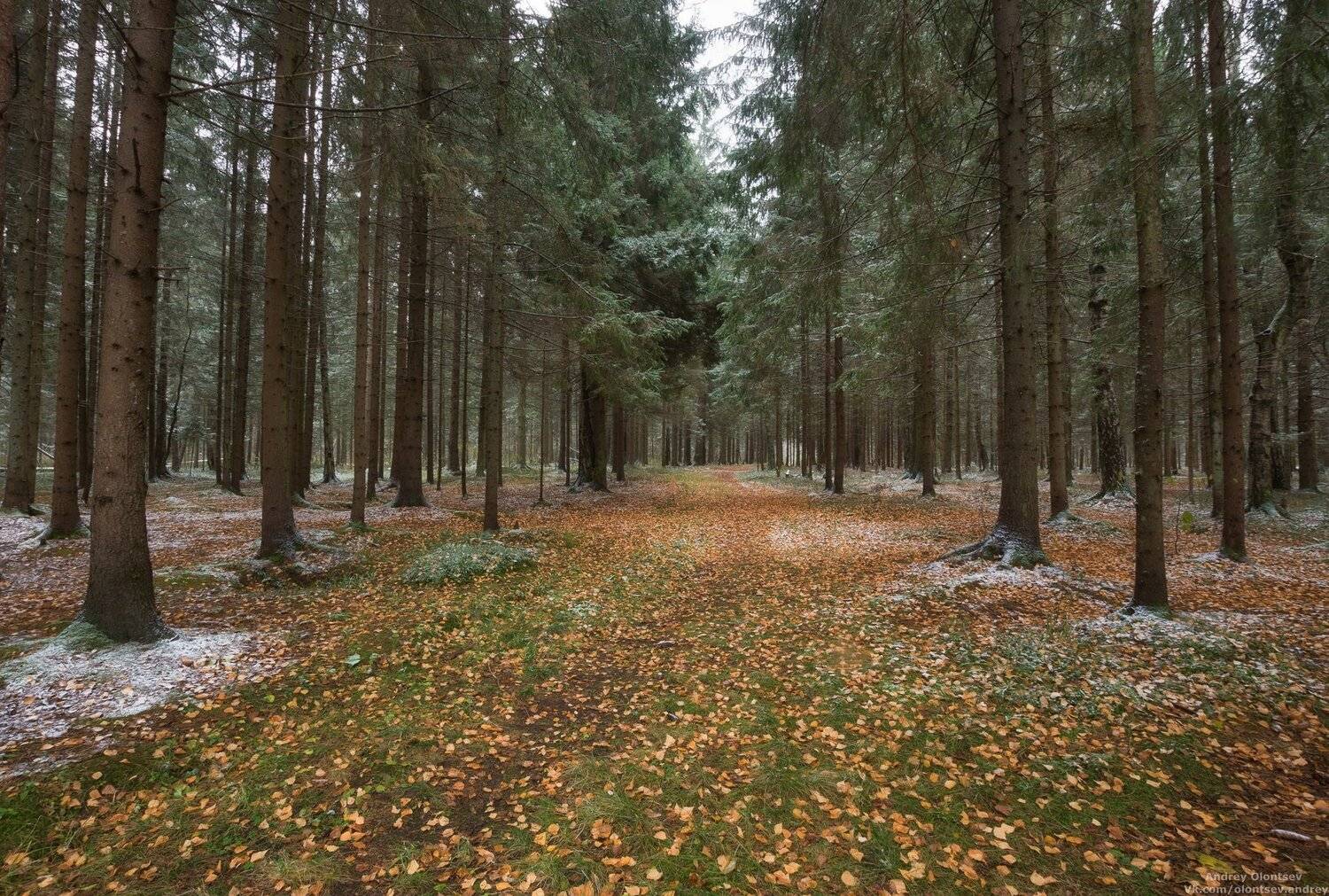 дубна, наукоград, подмосковье, россия, пейзаж, пейзажи, вода, солнце, отражение, рассвет, красота, природа, весна, погода, canon dubna, naukograd, moscow, russia, landscape, water, sun, reflection, dawn, beauty, nature, spring, weather, Андрей Олонцев