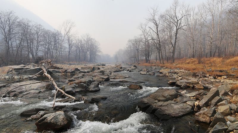 Пожарный сезон... фото превью