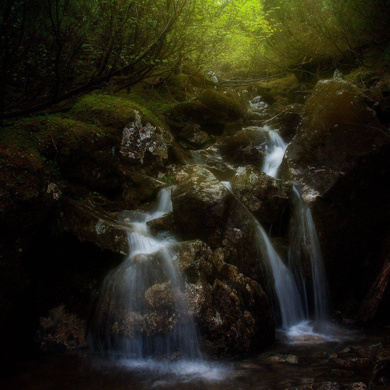приморский край, солнце, рассвет, Сорокин Алексей