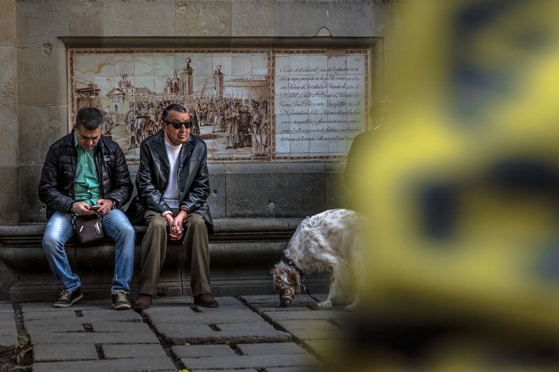 Portfolio фото превью