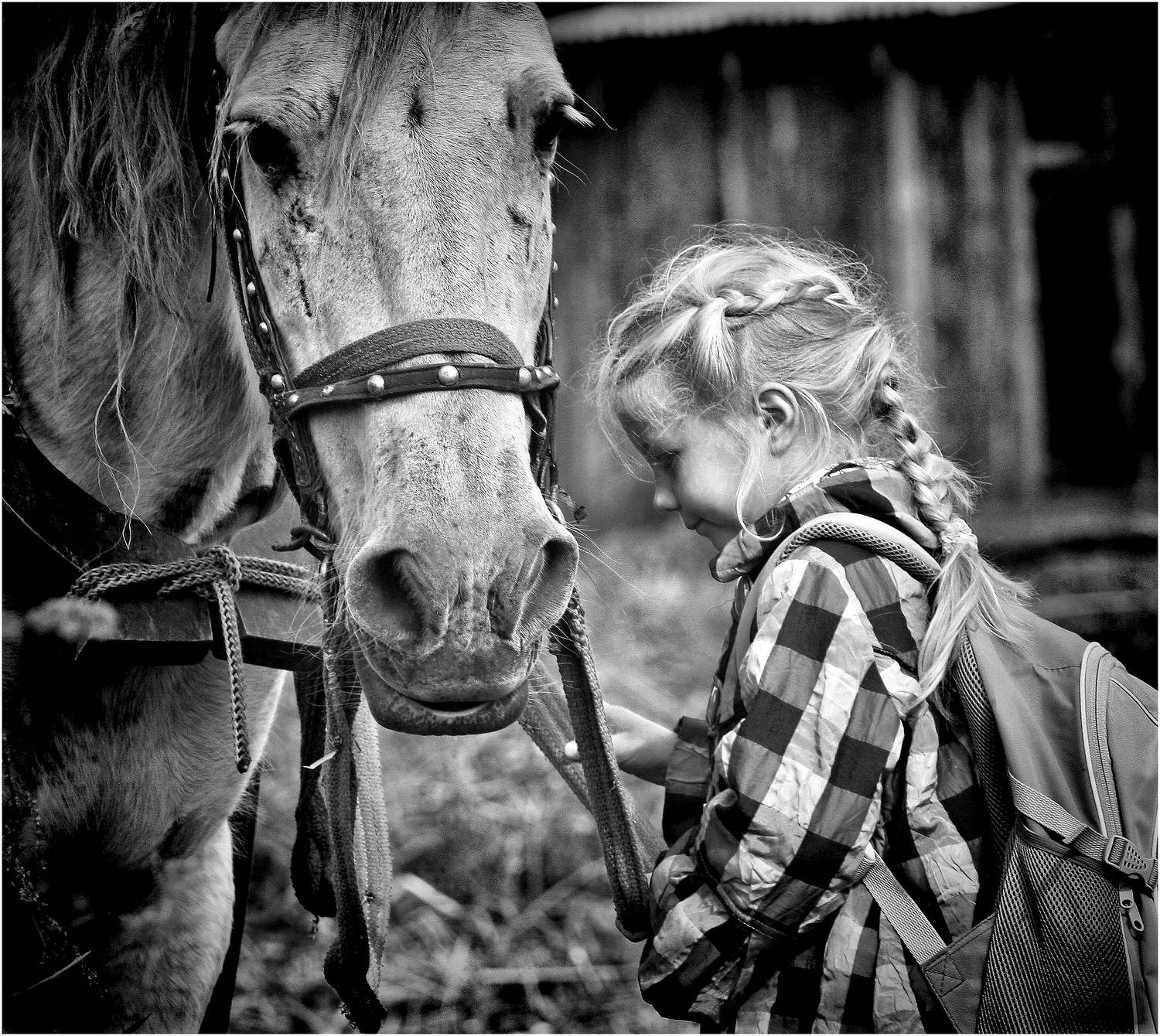 , Юрий  Храмутичев