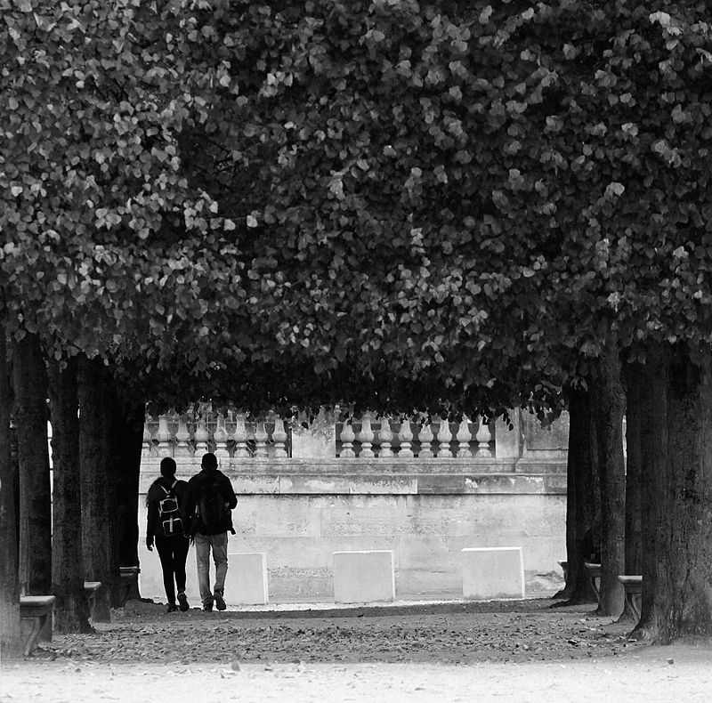 П фото превью