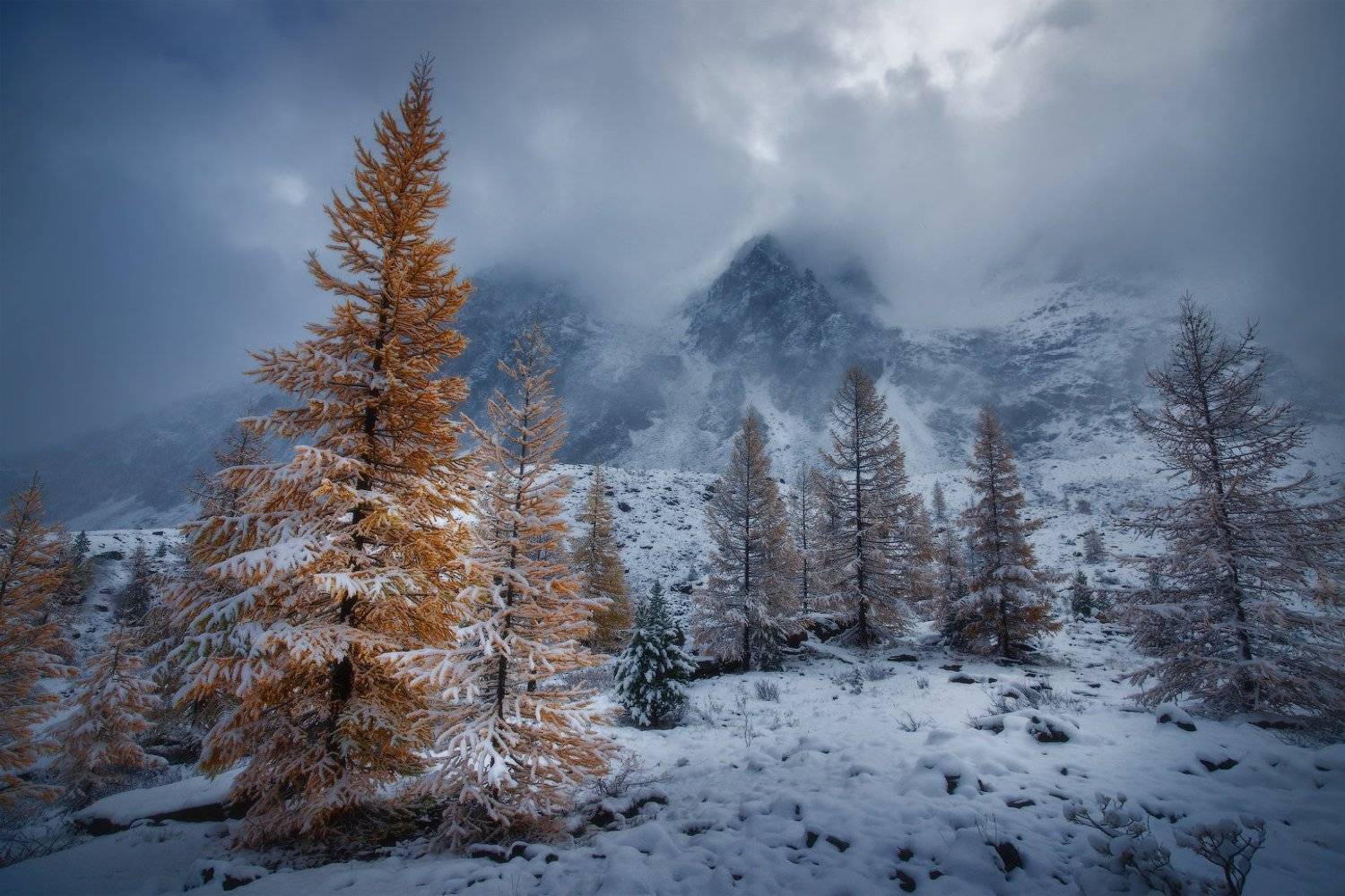 алтай, горы, осень, актру, Владимир Ляпин