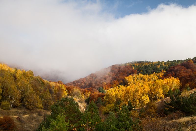 демерджи, цвет, крым, осень Краски осени на горе фото превью