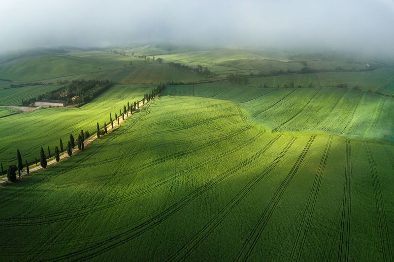тоскана, италия, tuscany, italia, italy, tuscan, valdorcia, вальдорча, green, field Победа солнца над туманом фото превью