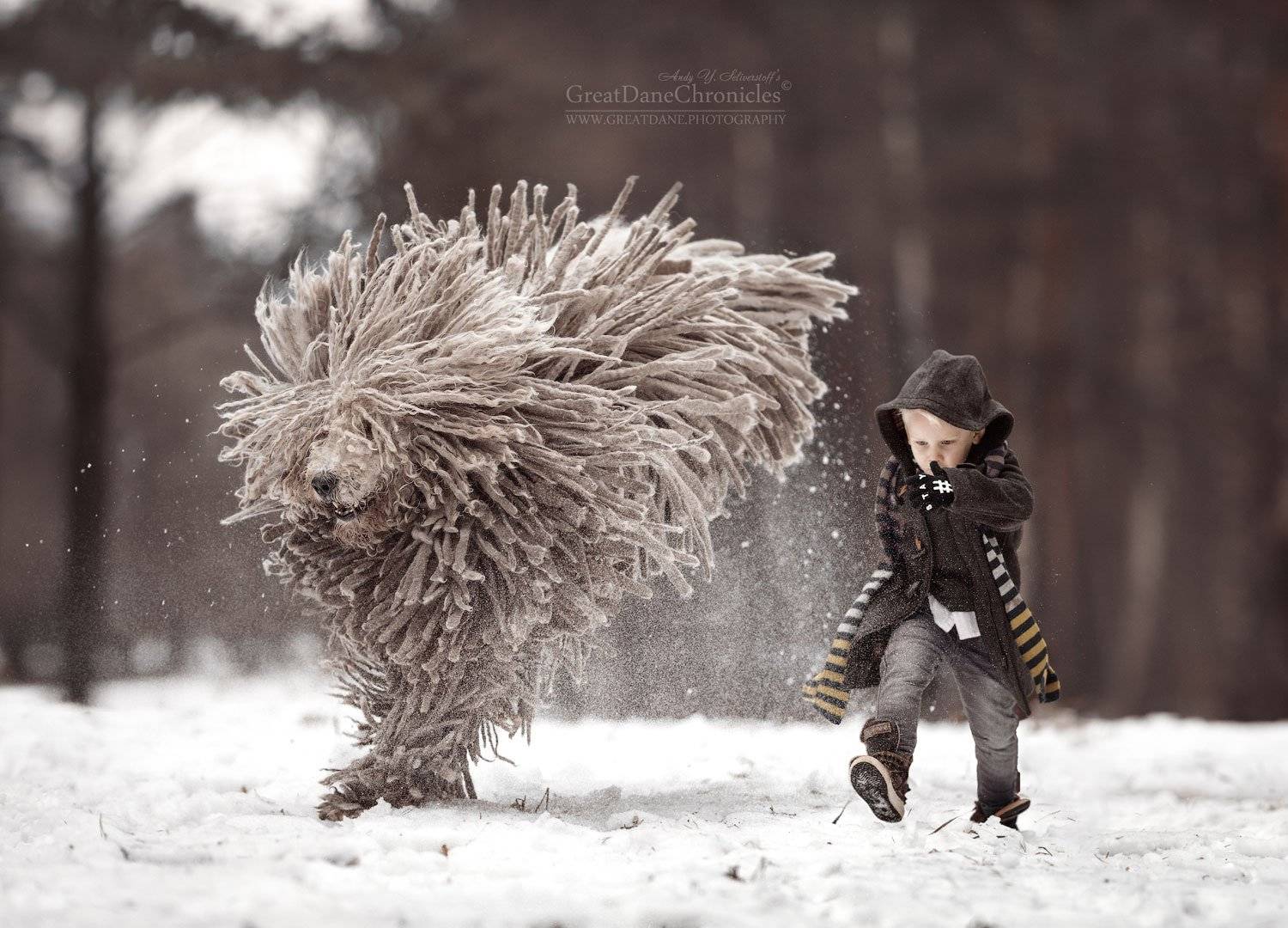 , Андрей Селиверстов