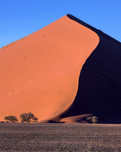 Big Daddy Dune of Sossusvlei