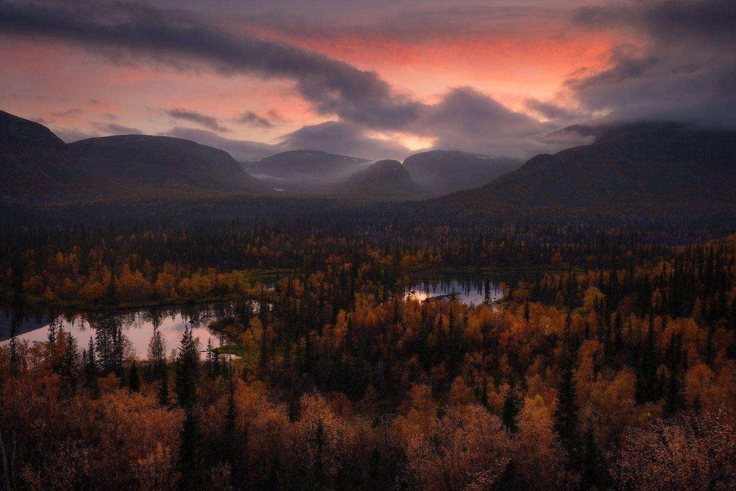 ловозёры, сейдозеро, тундры, кольский полуостров, Николай Степаненко