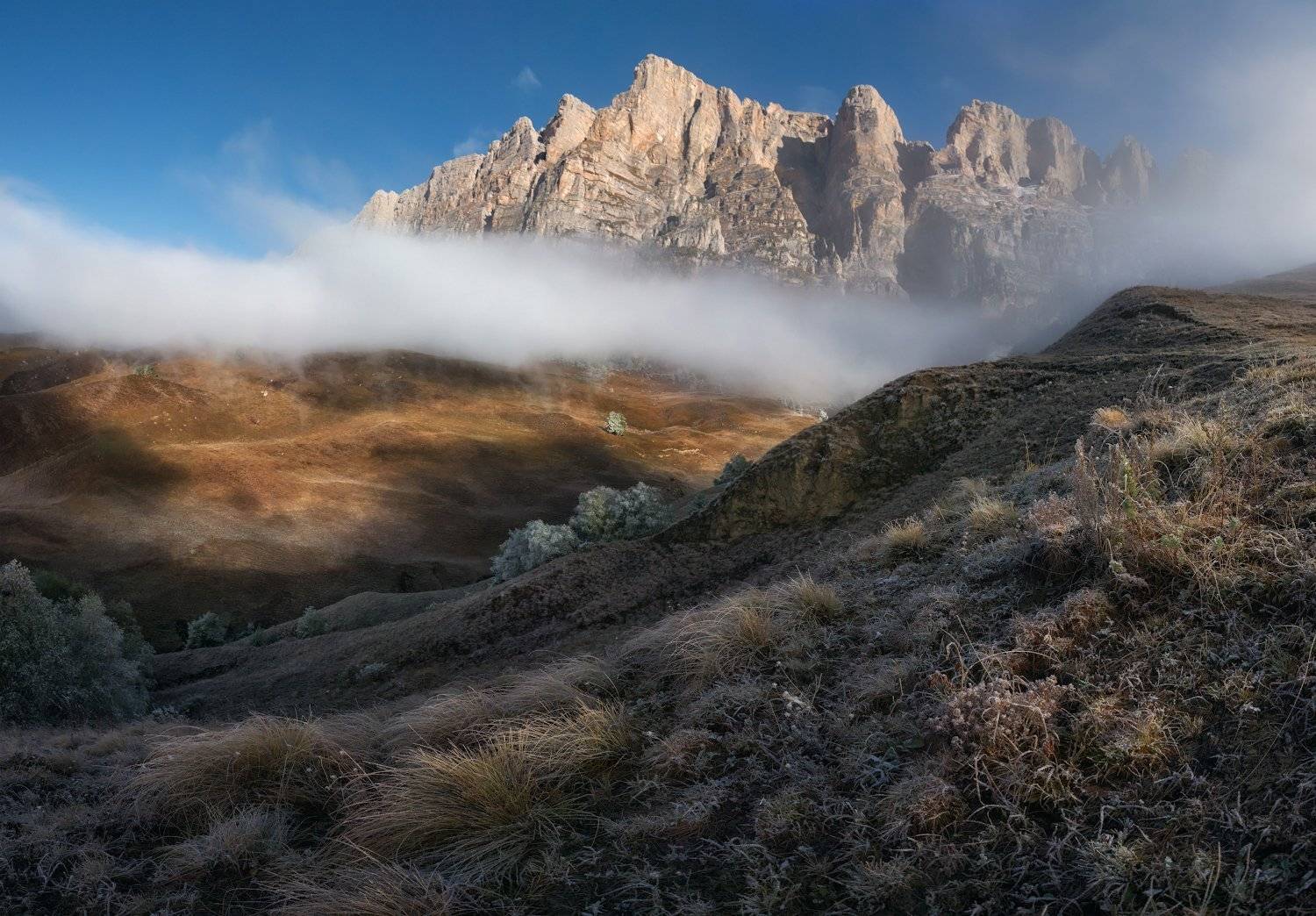 , Андрей Грачев