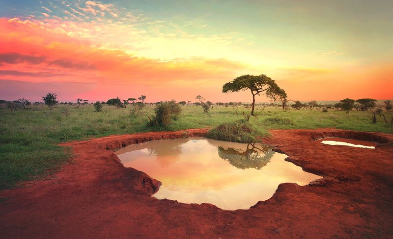Kenya фото превью