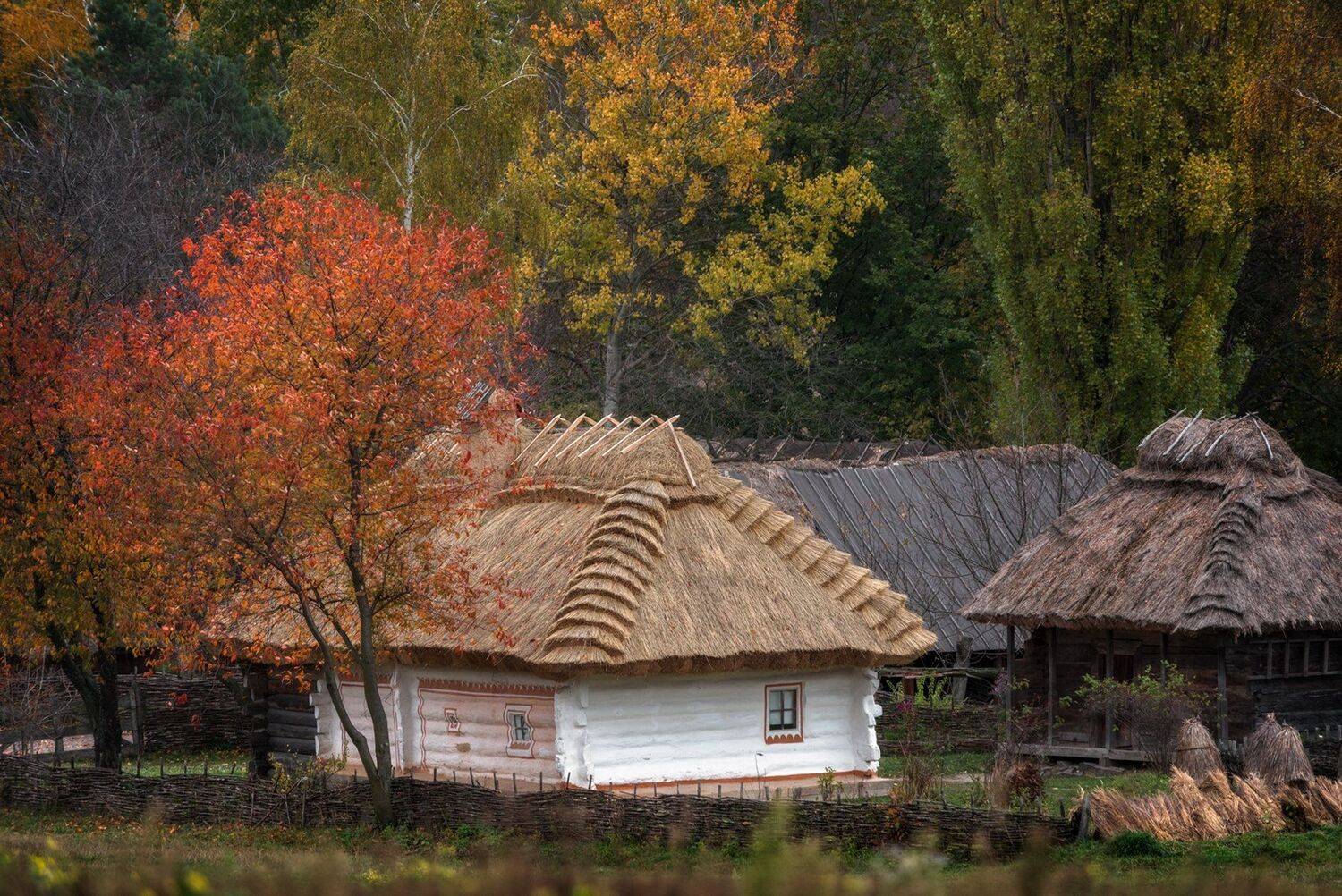 , Юрий Юрьев