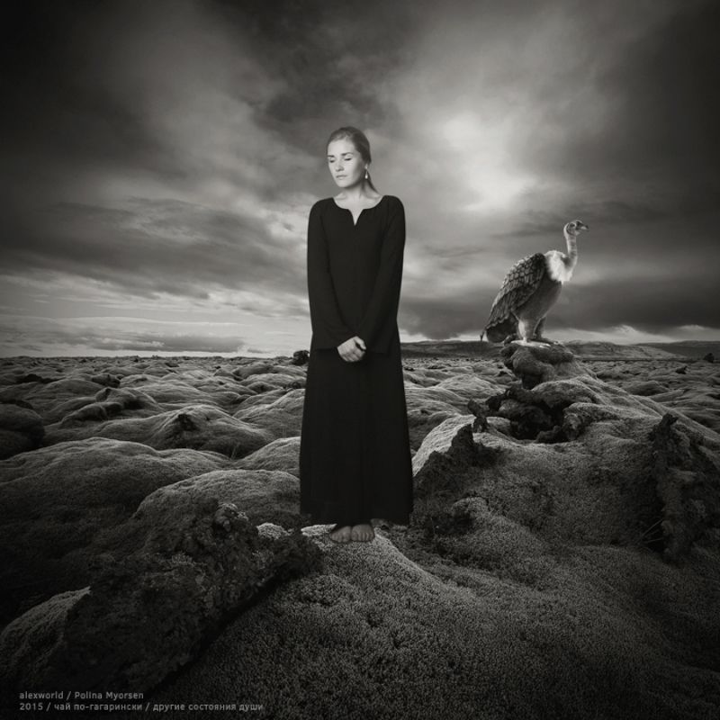 Untitled фото превью