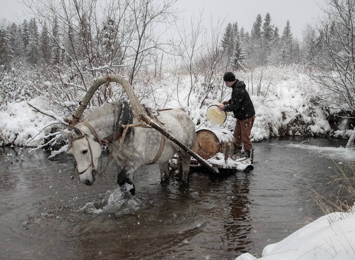 , Федотов Сергей