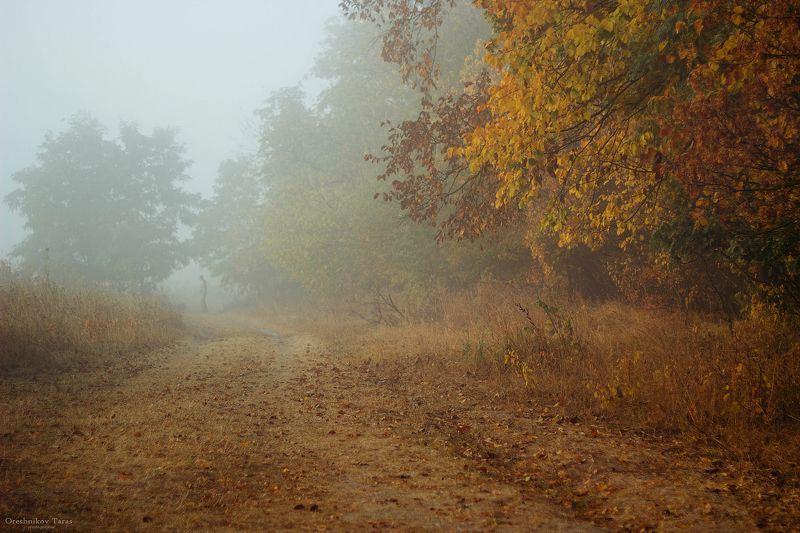 пейзаж,природа,осень,туман,рассвет,утро,  фото превью