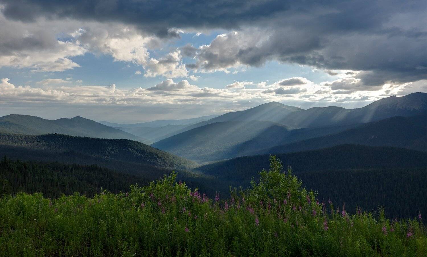 , Лещёнок Александр