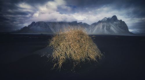 Vesturhorn