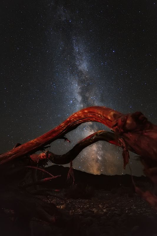 Где кончается земля, где начинается небо. фото превью