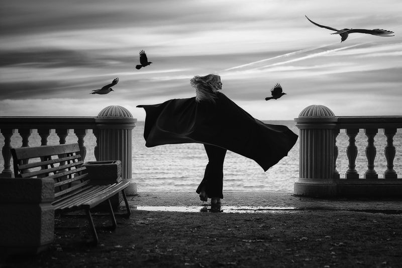 полёт, птицы, ворона, чайка, девушка, плащ, река, скамейка Fly away фото превью