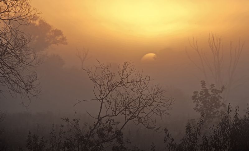 *** *** фото превью