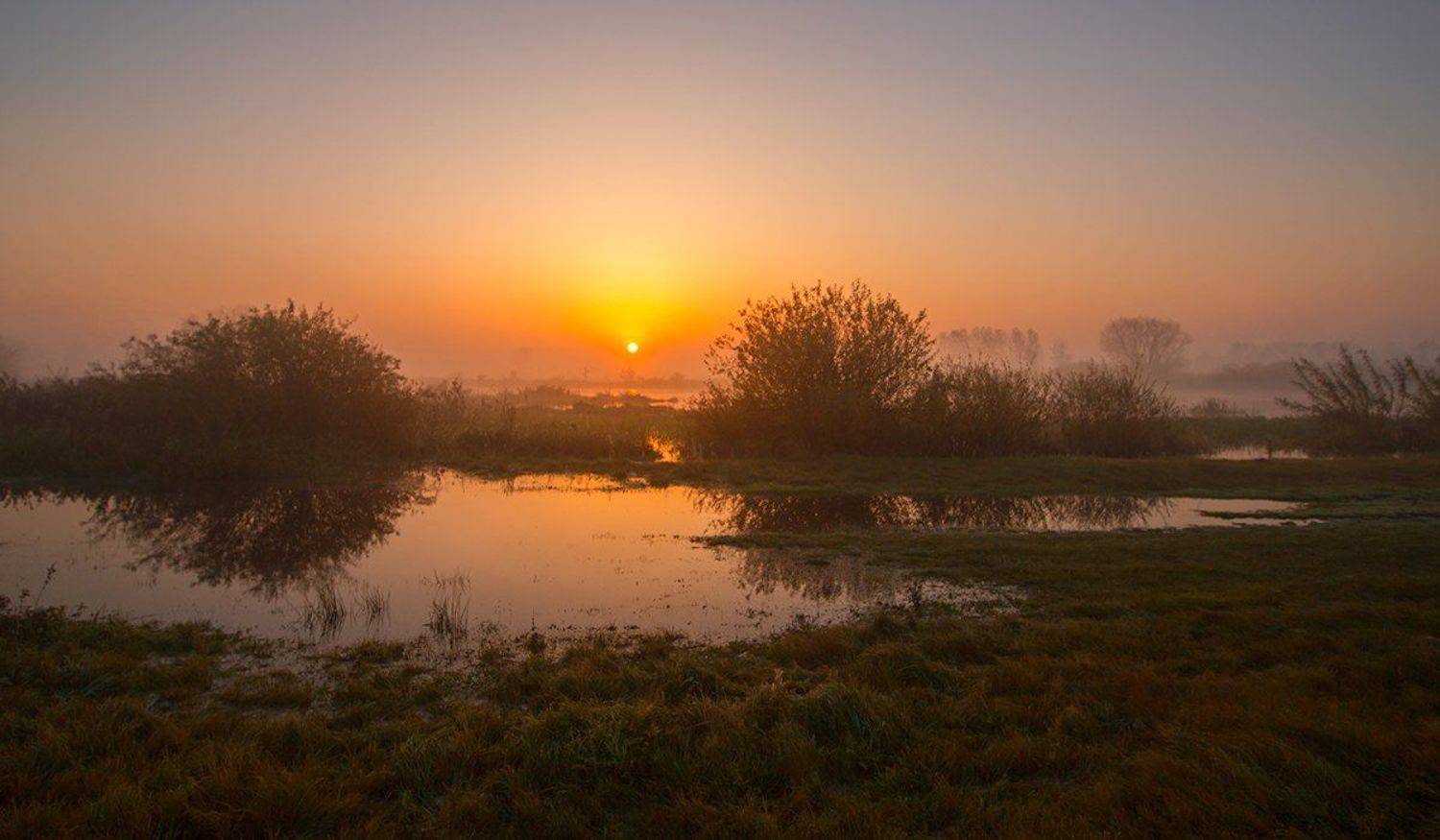 , Pawel Plucinski