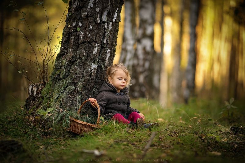 rest, magic, forest, trees, sun, sunset, grass, cute, girl, tree, light Rest in the magic forest фото превью