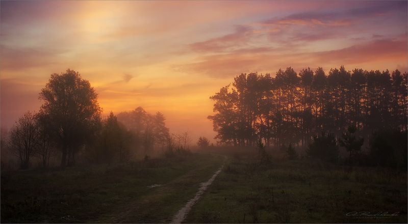 Тишина!А что может быть лучше! фото превью