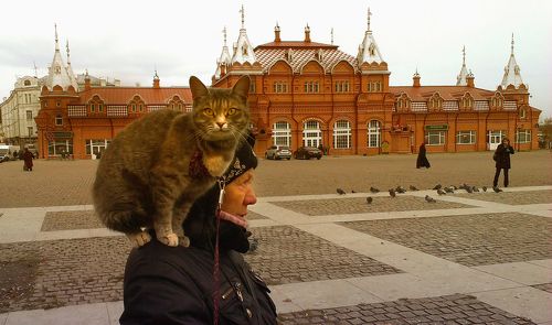 Впередсмотрящий