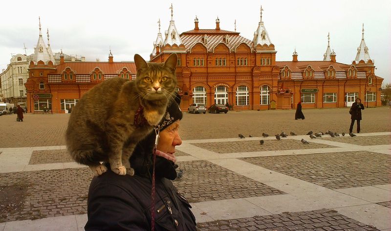 Впередсмотрящий фото превью