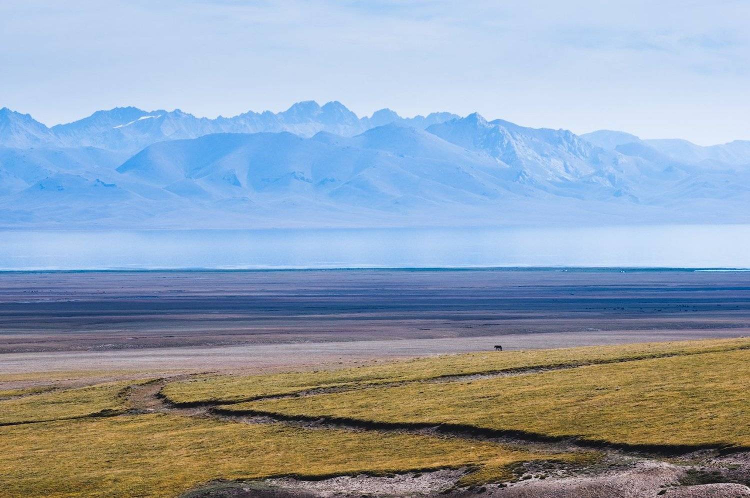 киргизия, горы, озеро, берег, лошадь, kyrgyzstan, mountains, lake, horse, Дмитрий
