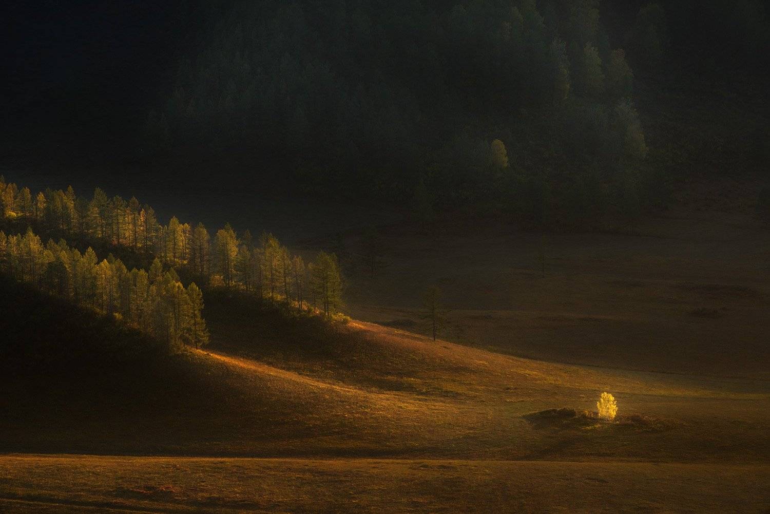 алтай, Красимир Матаров