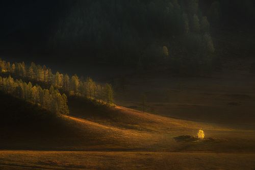 Осень на Алтае